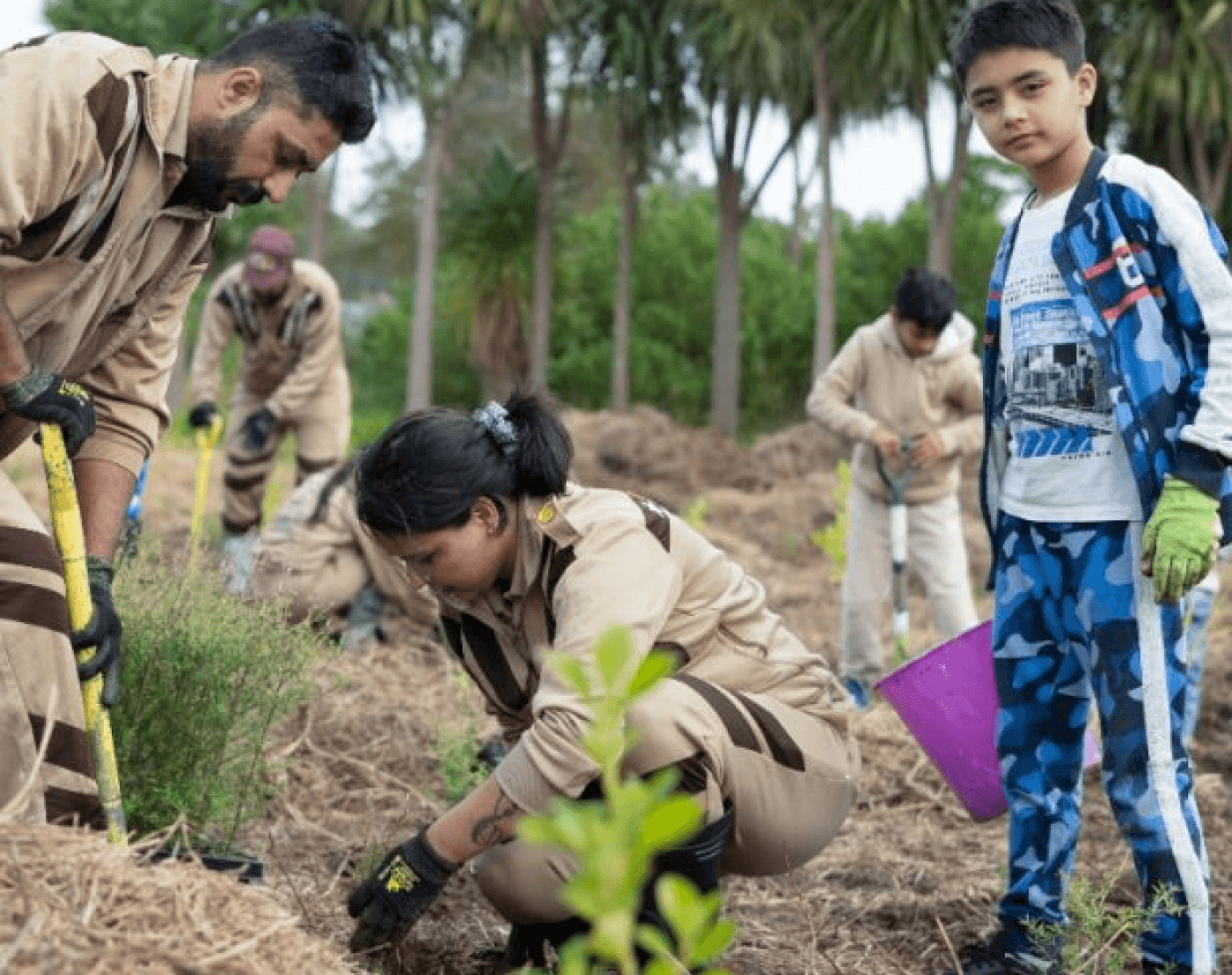 tree_plantation 7