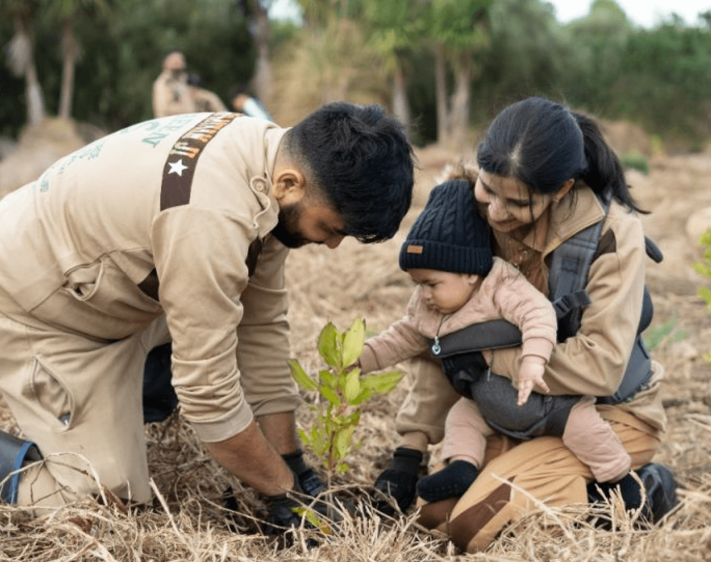 tree_plantation 8