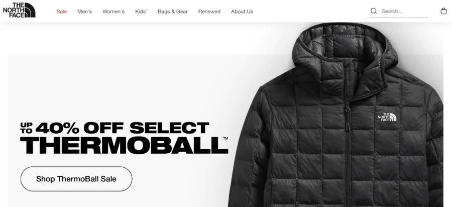 The North Face - stores like pacsun